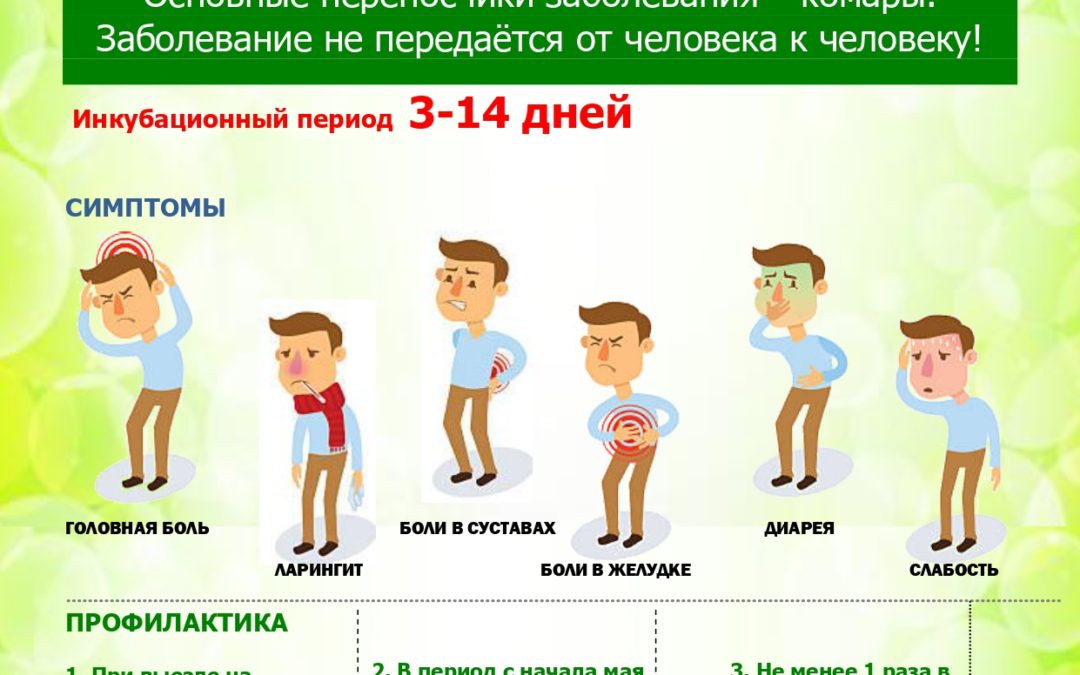 Комариные вирусные лихорадки